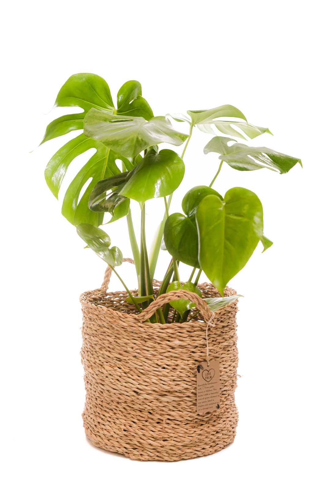 The Oatie Handwoven Palm Leaf Basket