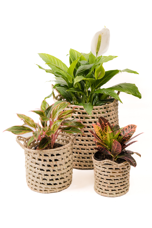 The Cinnamon Handwoven Palm Leaf Baskets