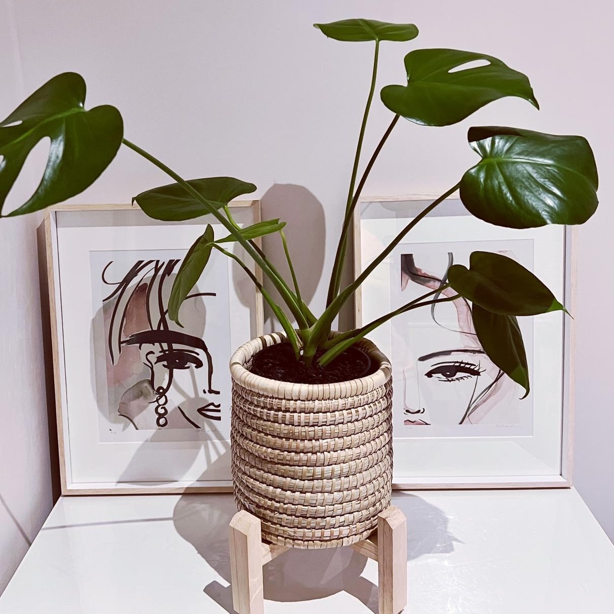 The Honey Handwoven Palm Leaf planter basket