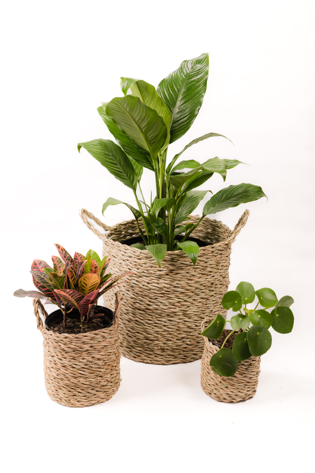 The Happy Handwoven Palm Leave Basket