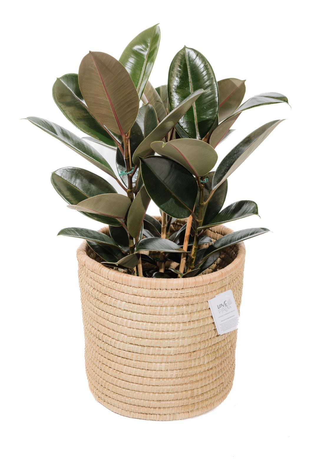 The Honey Handwoven Palm Leaf planter basket