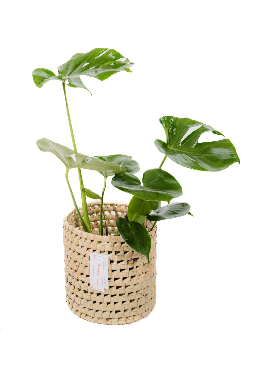 The Cinnamon Handwoven Palm Leaf Baskets