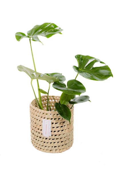 The Cinnamon Handwoven Palm Leaf Baskets