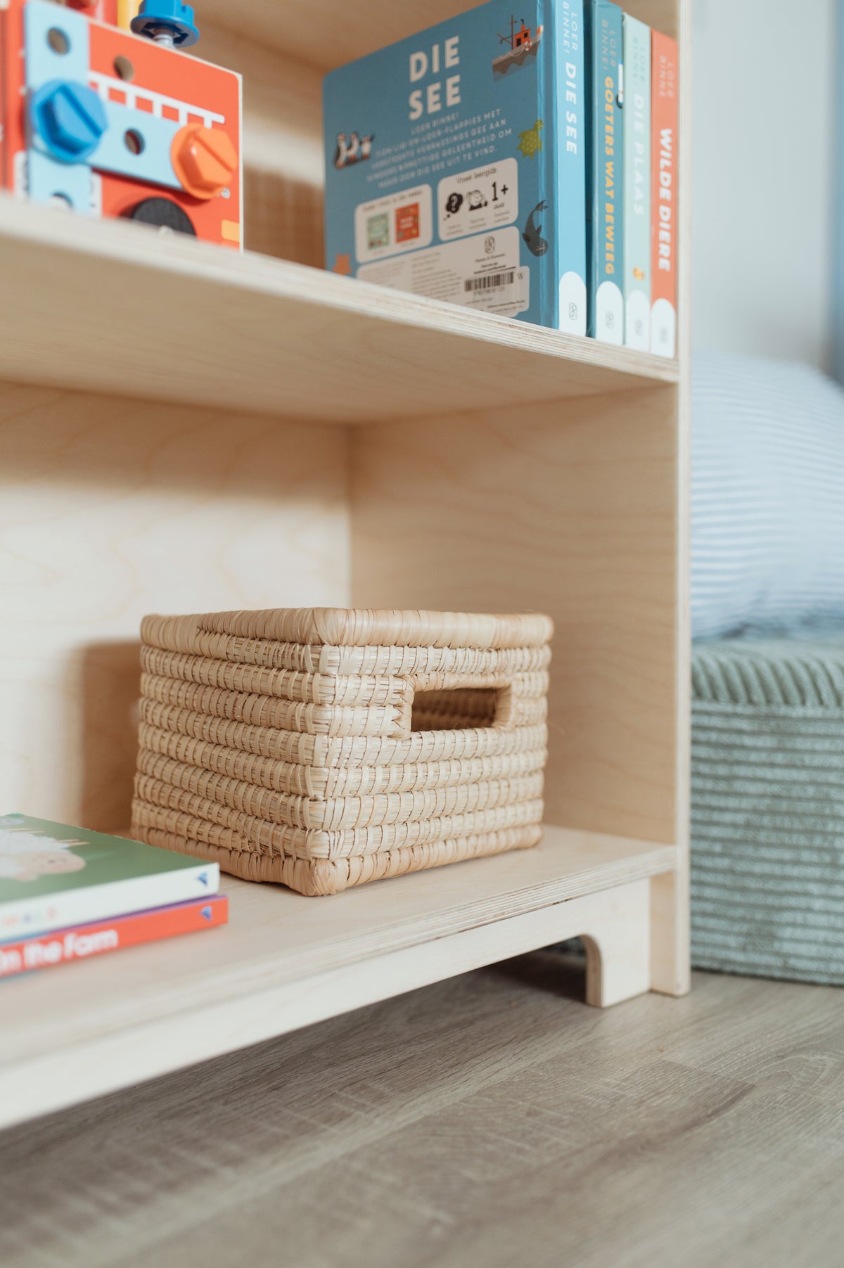 Montessori-Inspired Bookshelf
